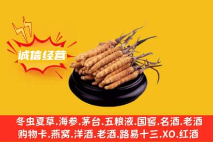 乌鲁木齐水磨沟回收冬虫夏草